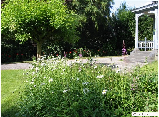 Terrace and Garden