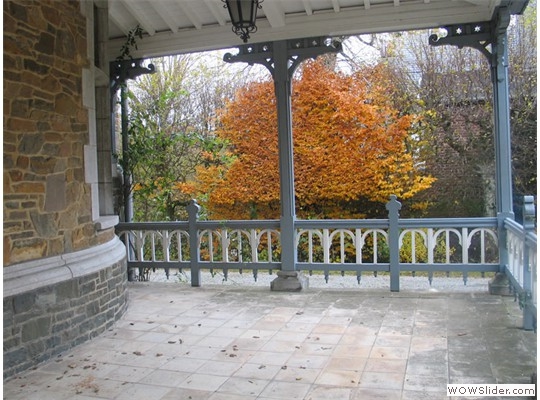 Terrace and Back Garden