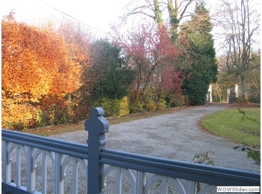 Terrace and Back Garden